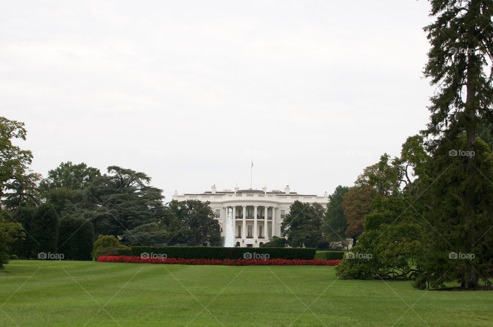 White House 