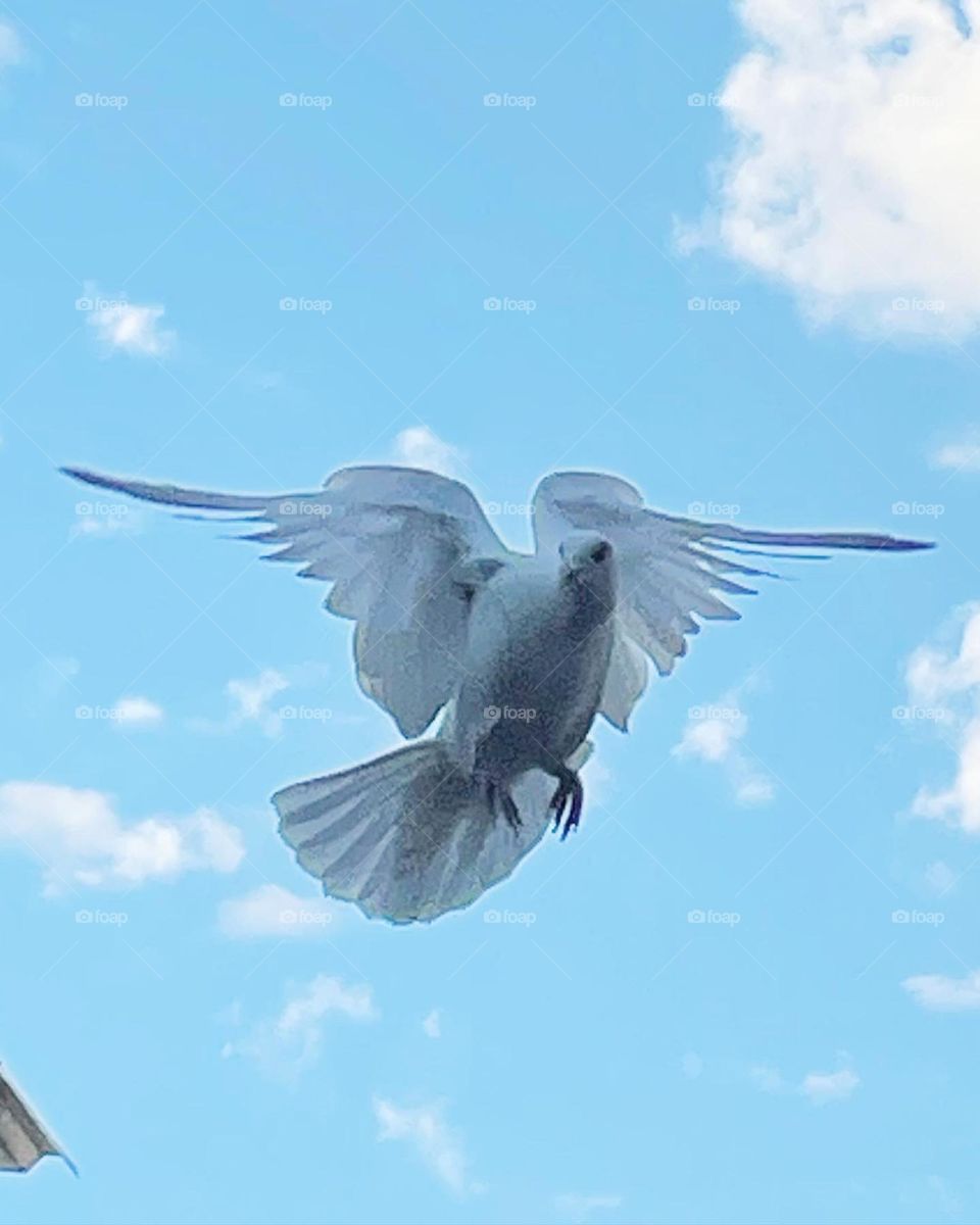 Strike a Pose! ❤️