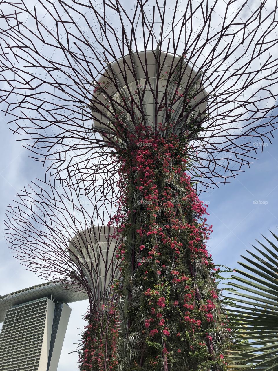 Grove tree at Gardens by the bay 