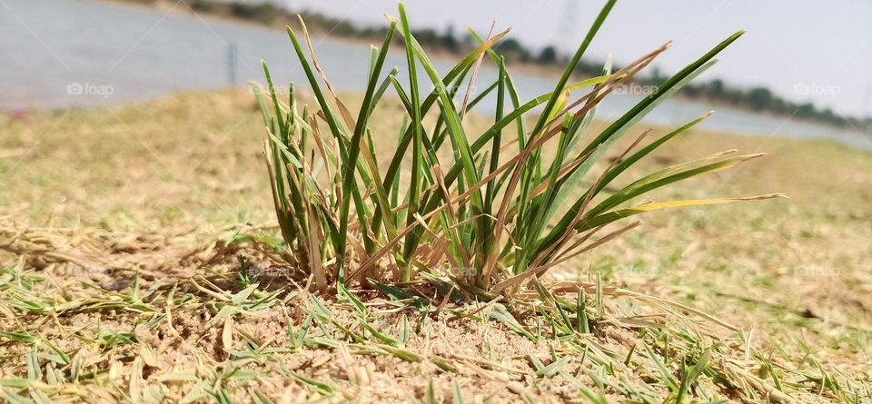 River side of water // water and sandy // grass, sandy of water
