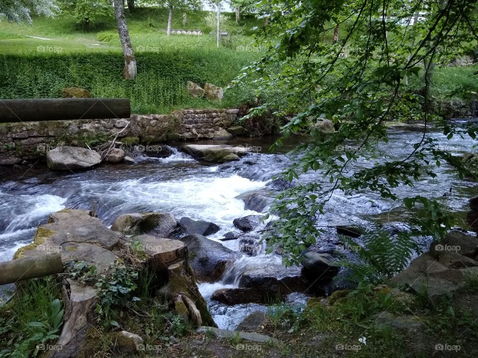 Kurpark in Bad Wildbad