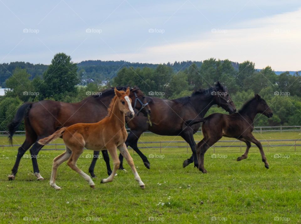 Springtime is the most beautiful time of the year .
I think everyone is agreed to that ,2 legs and 4 legs.