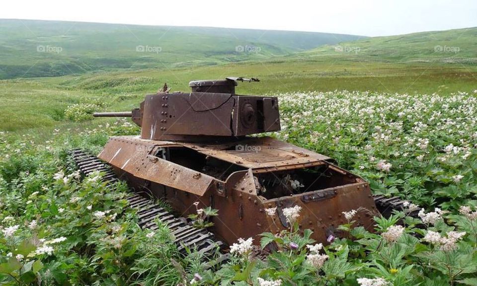There are many tanks scattered around the world, which were abandoned at the end of the two world wars and taken by nature. Some have been in the same place for over 100 years.