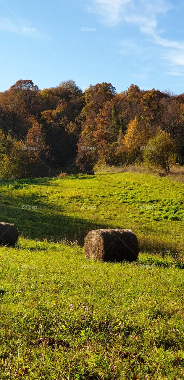 Autumn is coming