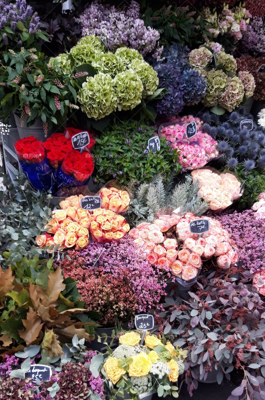 florist shop in Paris on Autumn