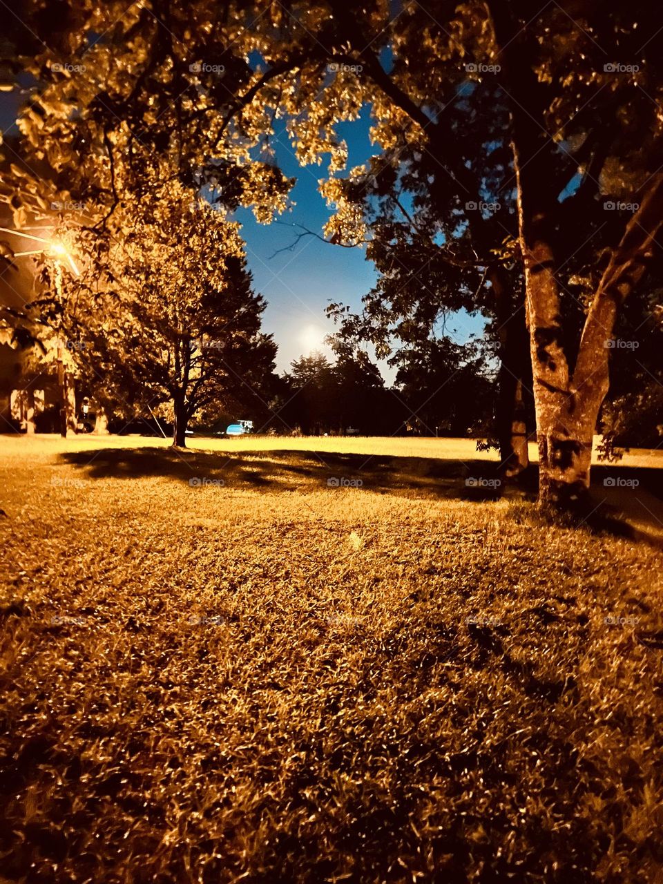 Such a flawless night to take a nice little walk 