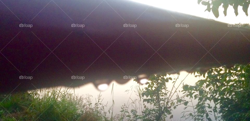 Gate with Dew Drops on a Foggy Morning