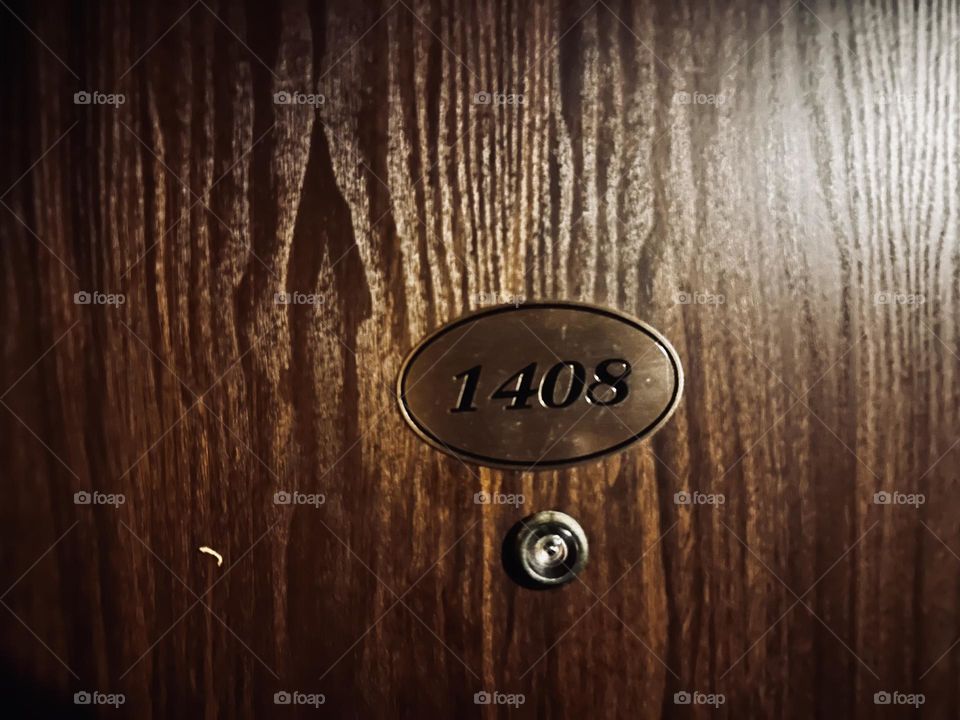 Опасная комната 1408 