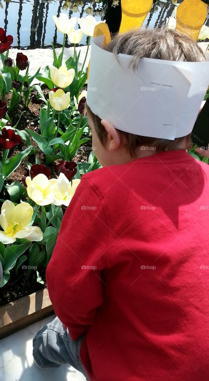 stop and smell the tulips