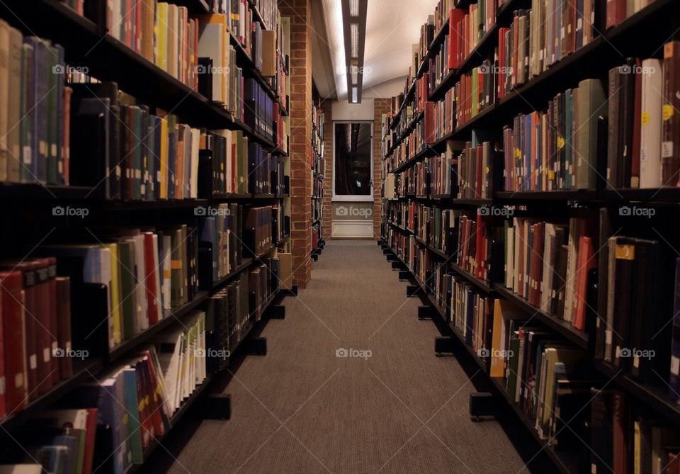 books library university bookshelf by Petalskull