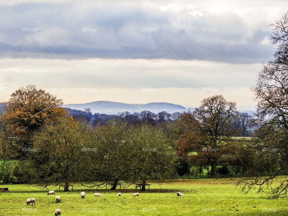 Cotswolds. Landscape 