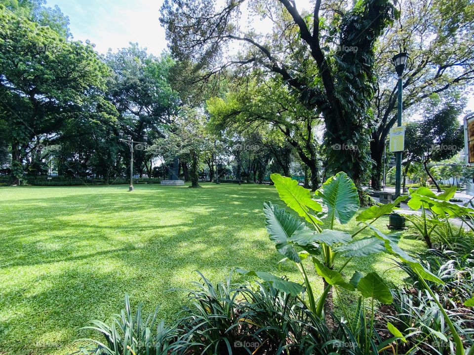 Suropati Park is one of the most interesting parks in the Menteng area of ​​Central Jakarta