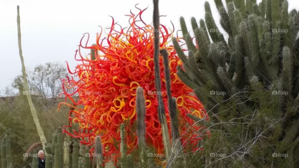 Chihully orange and yellow