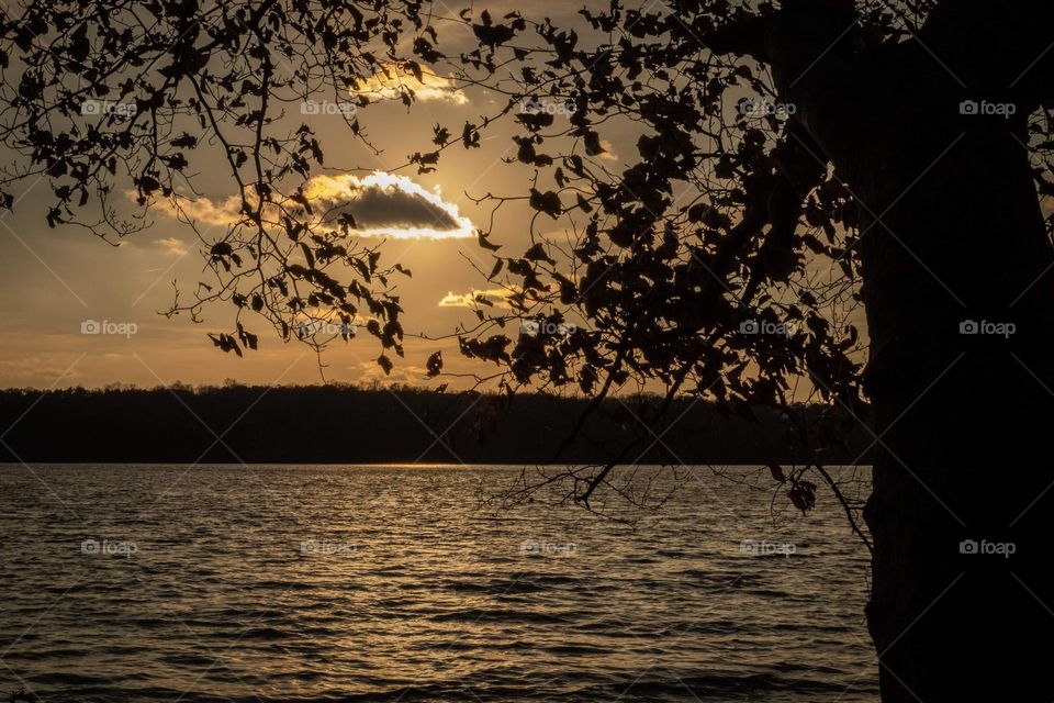 The sun takes a short break behind a tiny cloud over the lake. Lake Benson, Garner, North Carolina. 