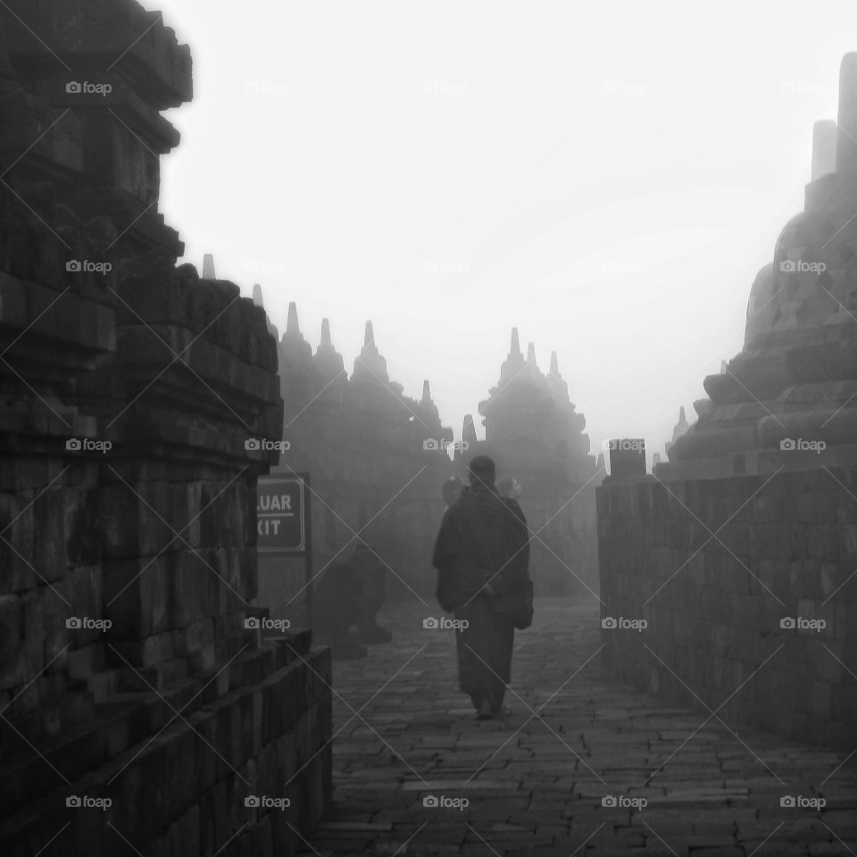 Walking meditation in the fog