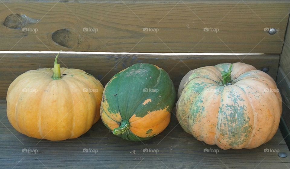 pumpkin patch selections