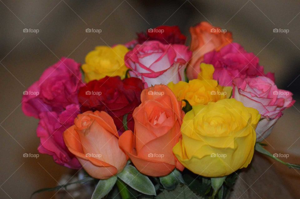 bouquet of roses