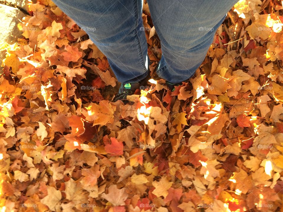 Standing in a pile of leaves made my feet disappear