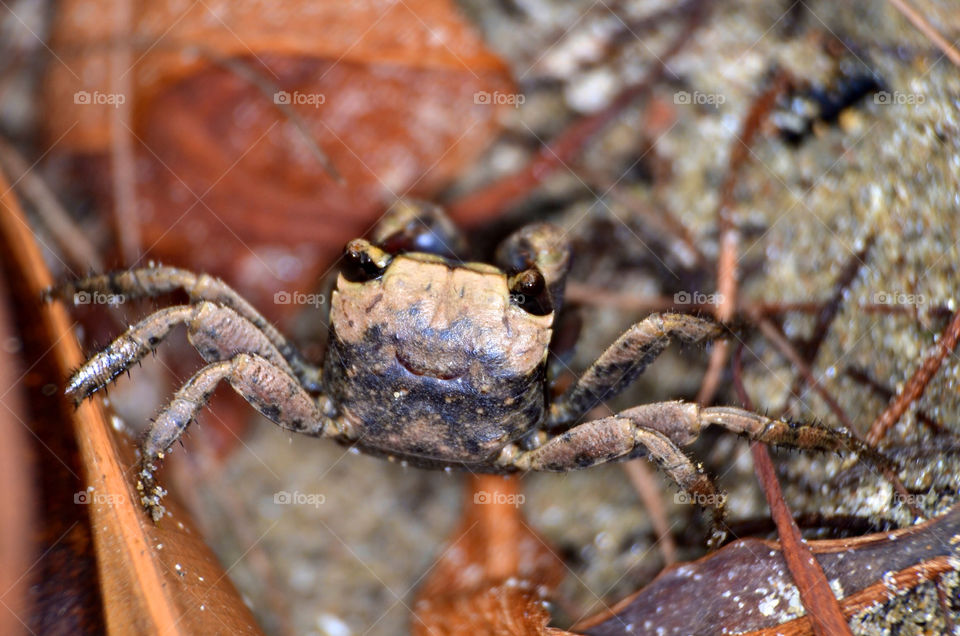 beach ocean happy face by hkjohan