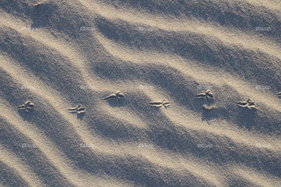 prints on the sand