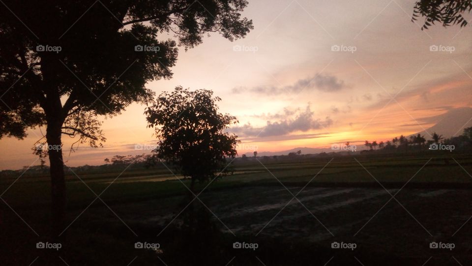 the day moorn has started come act