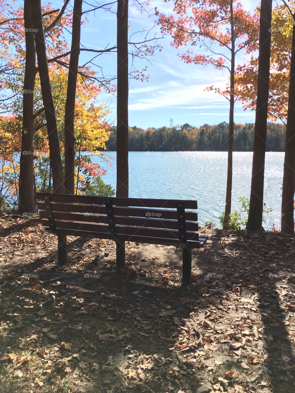 Park bench at the lake