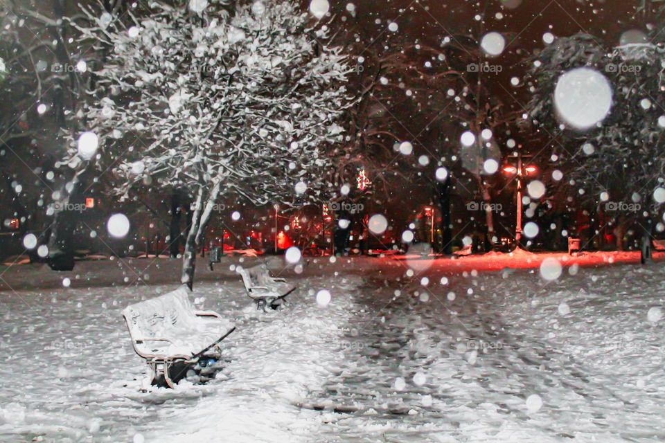 Snow at the park