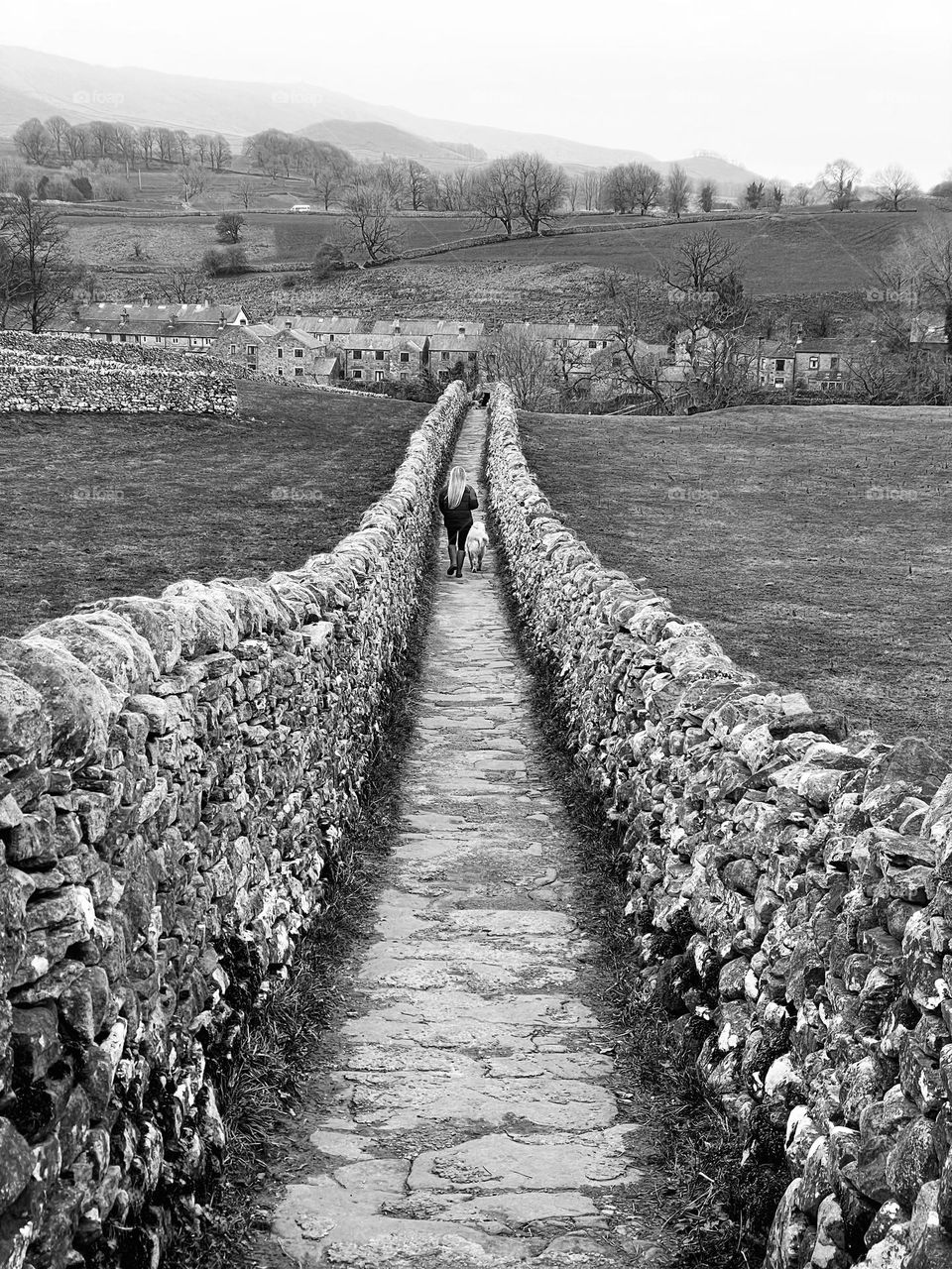 Dog walker in Grassington 