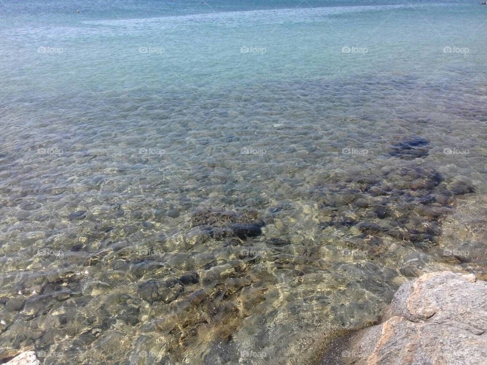 clear pure sea