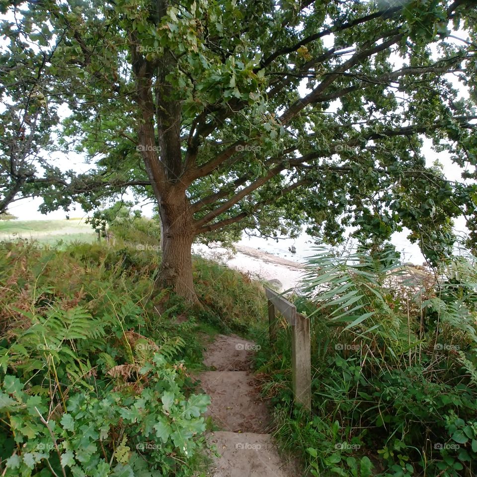 Weg nach unten zum Wasser