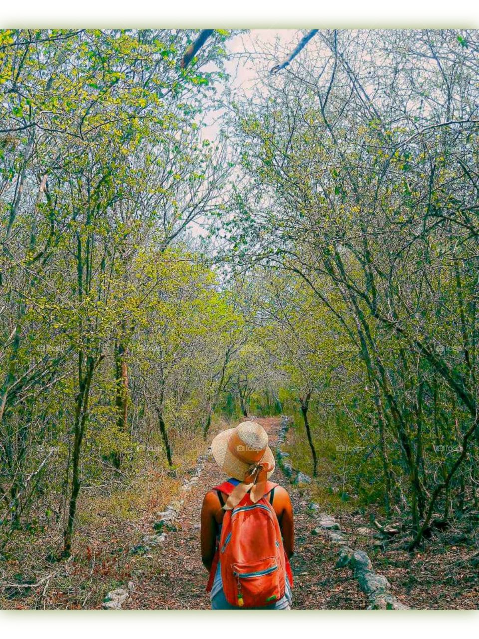 Walking in the solitude of the forest