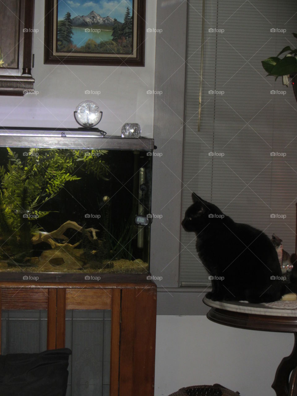 Symmetry Everywhere-just look