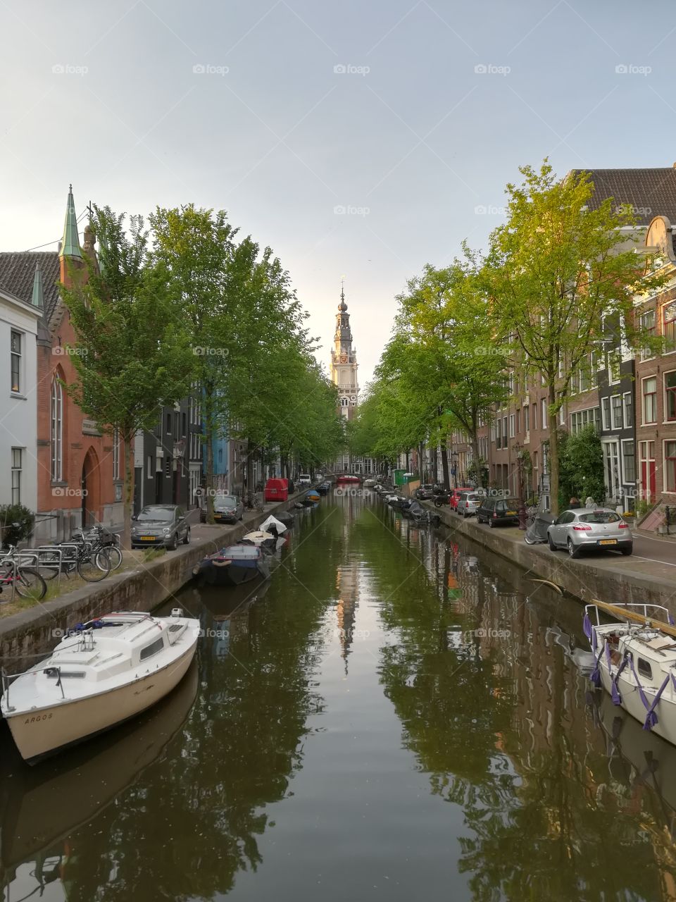 Amsterdam water trees church