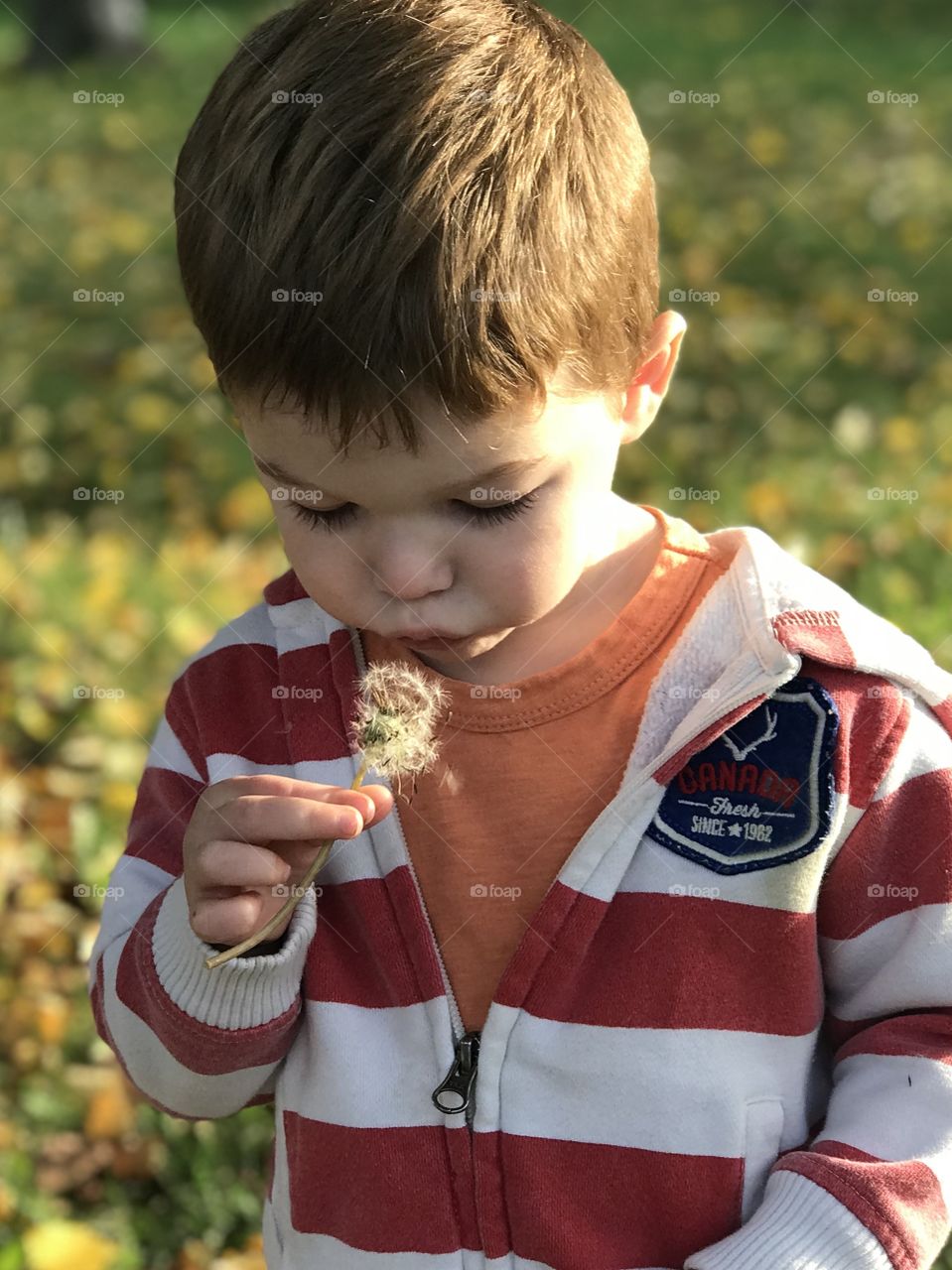 Cute little boy blowing dandelion 