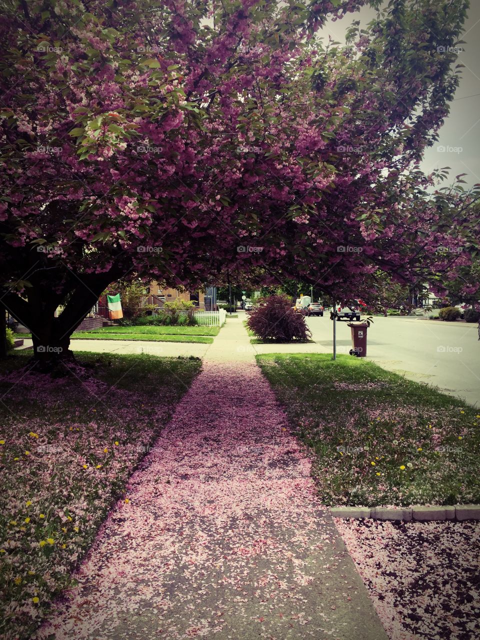 Spring ain’t always Green