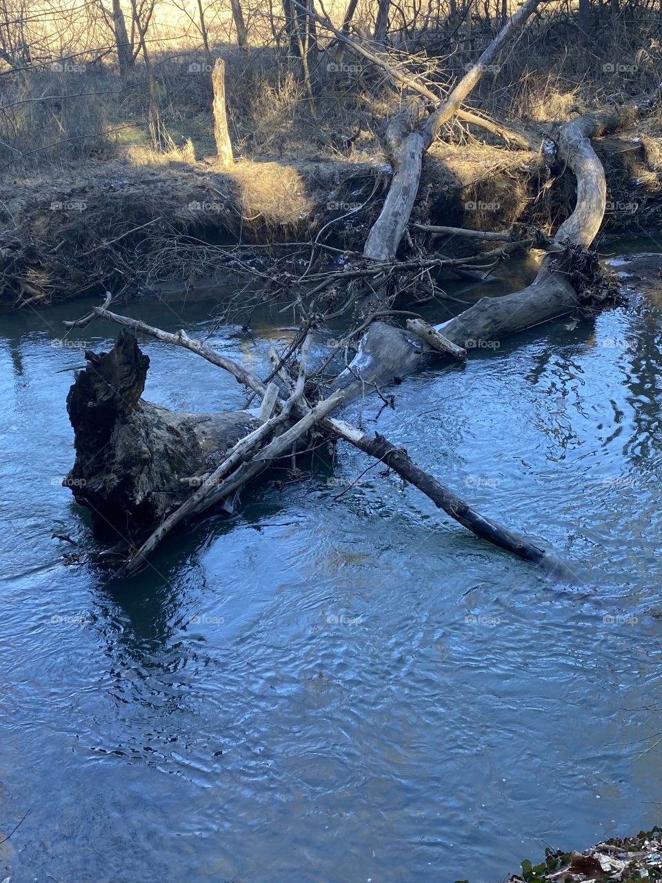 It didn’t make a sound 