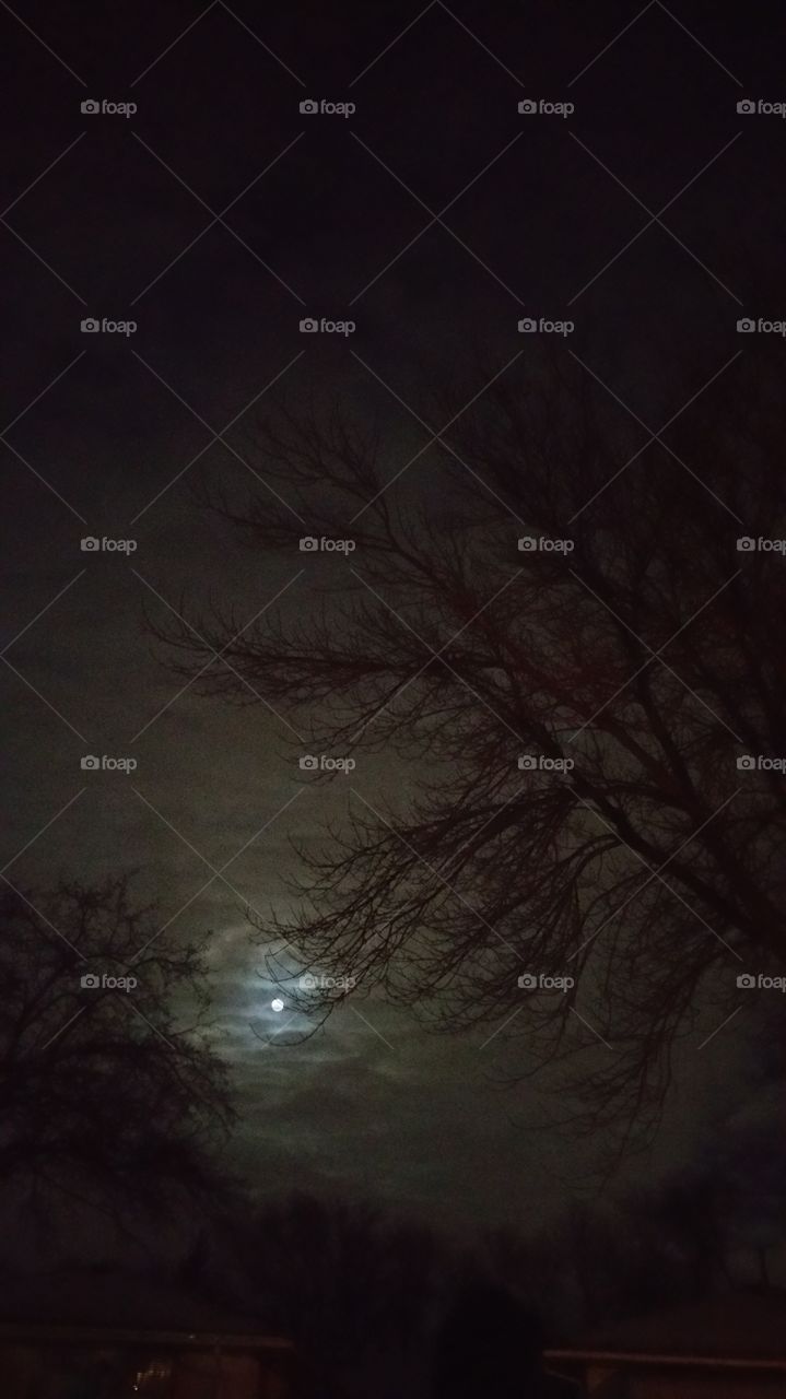 a moon light in the dark