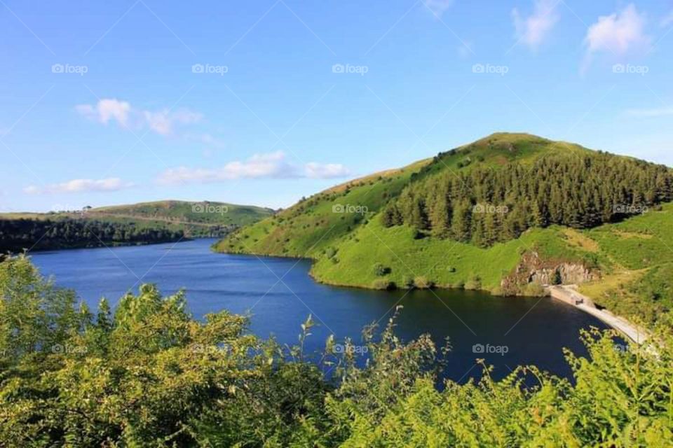 Walk In The Mountains