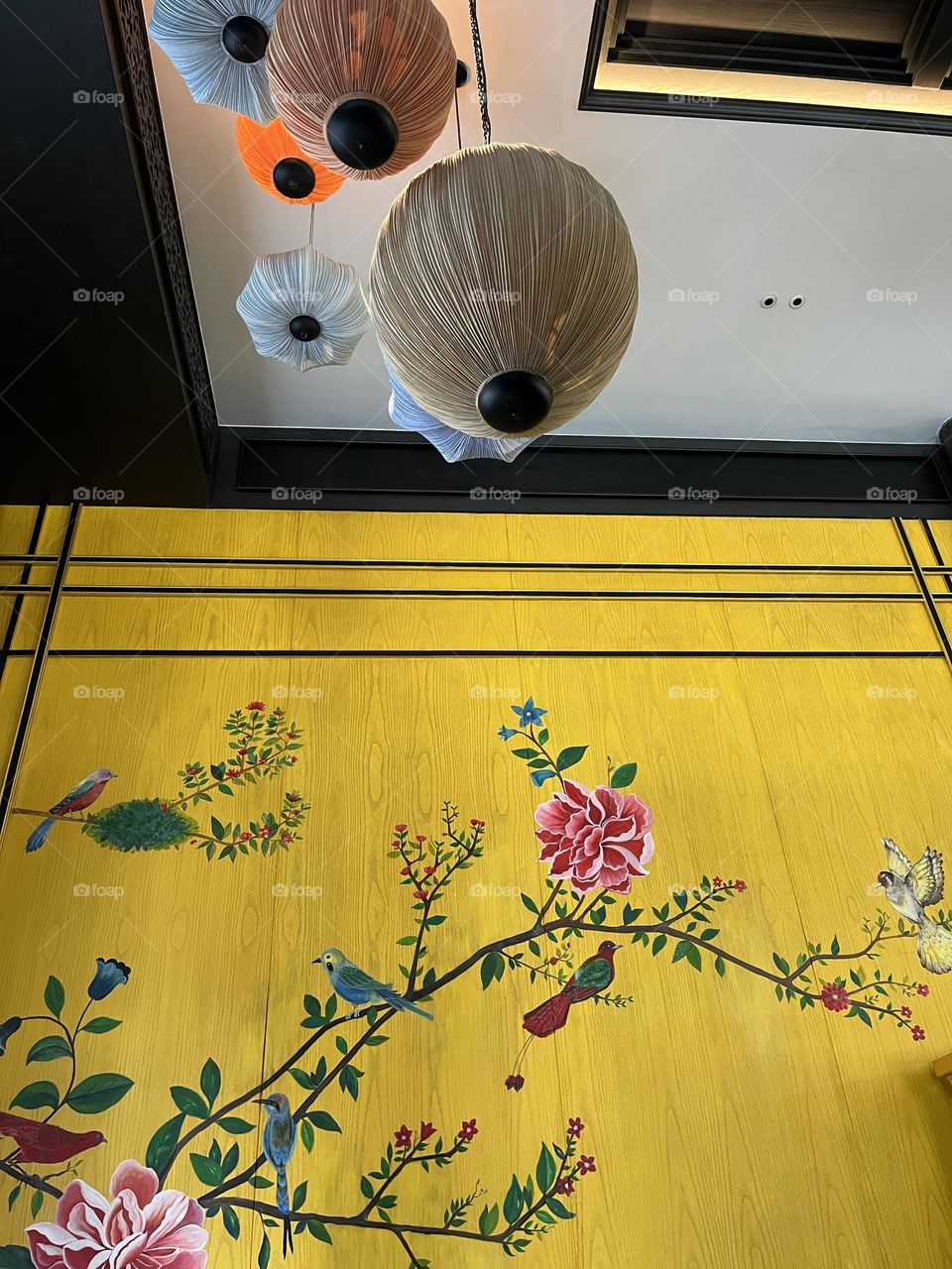 📷Colors Explosion 🔴