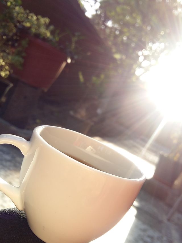 Tea