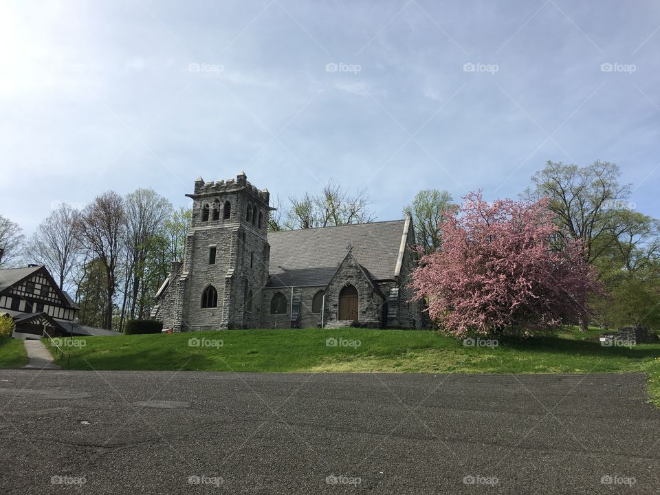 Blossoms in CT in early May