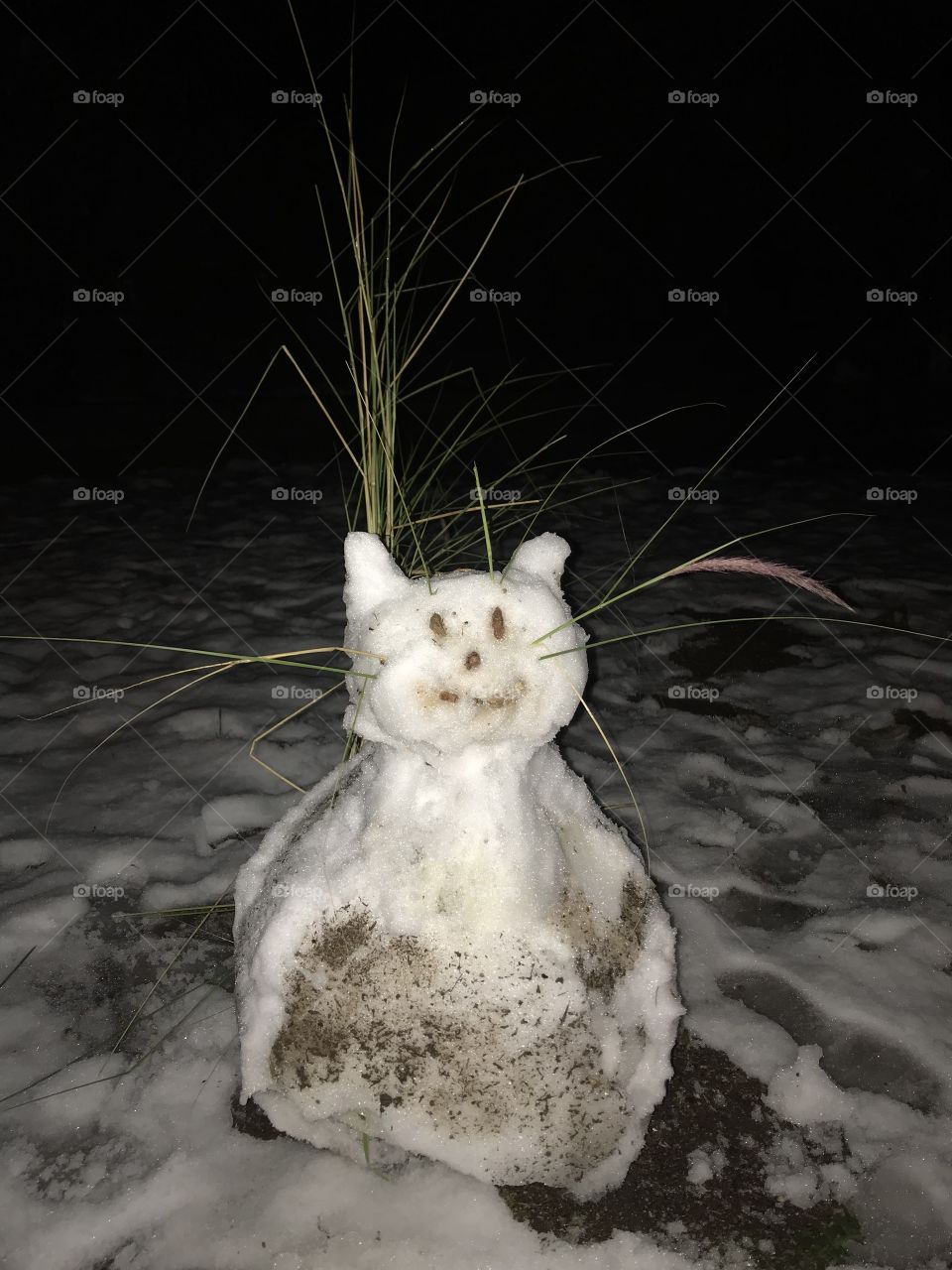 AZ 2019 Snowman cat