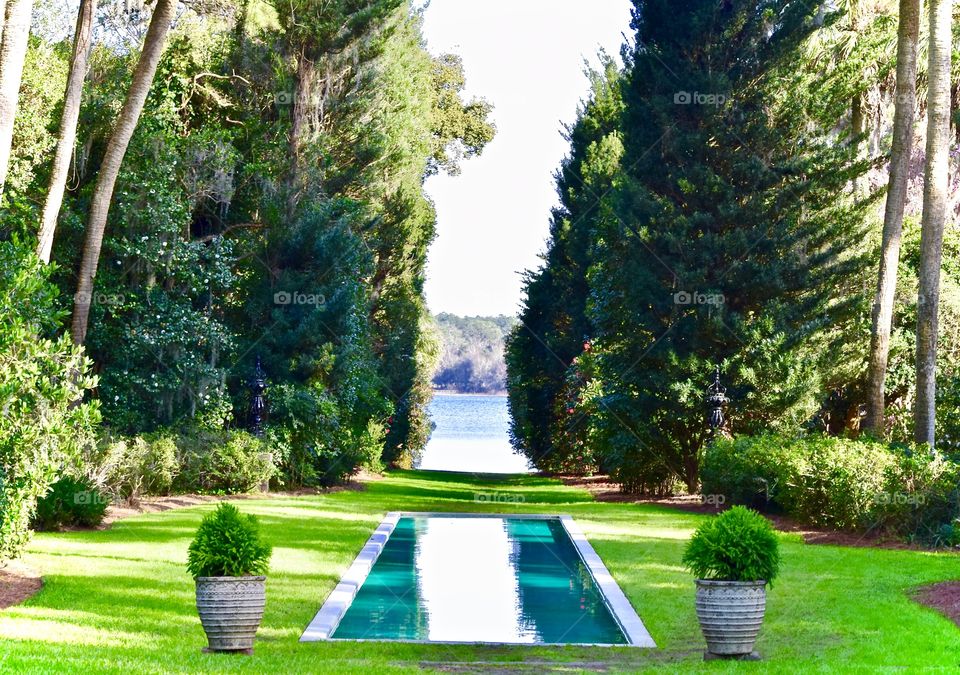 Maclay Gardens Gorgeous