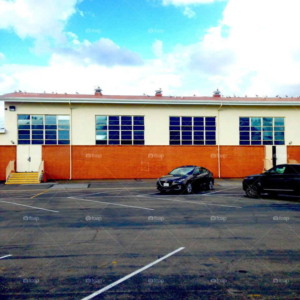 Waiting For After School Hour

Published by:
HappyBrownMonkey 