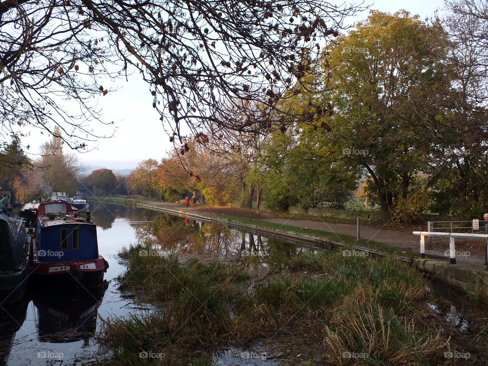 trees water fall autumn by emmam