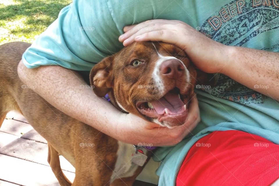 Summer memories of a man sitting outside petting his sweet dog