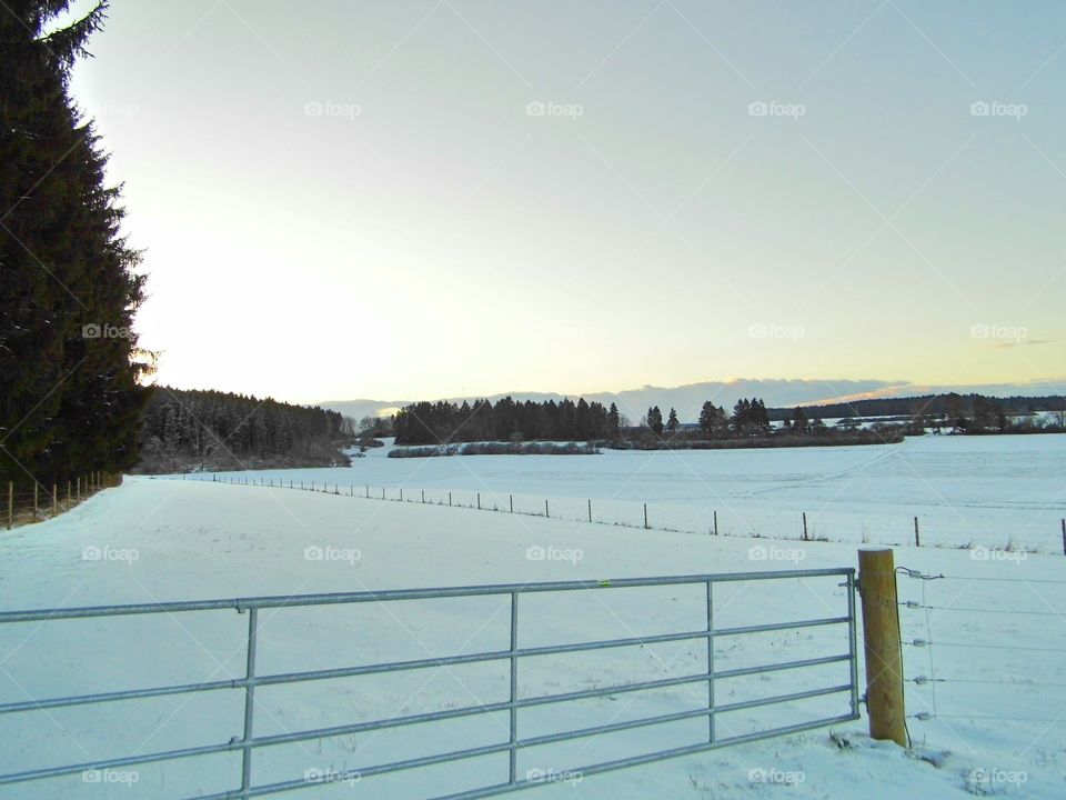 horse stable in landscape and Snow White
