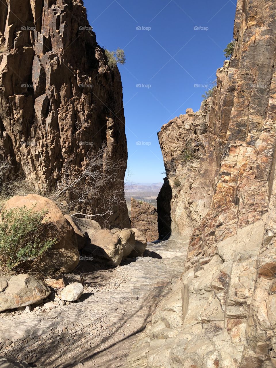 Big Bend National Park, the window trail