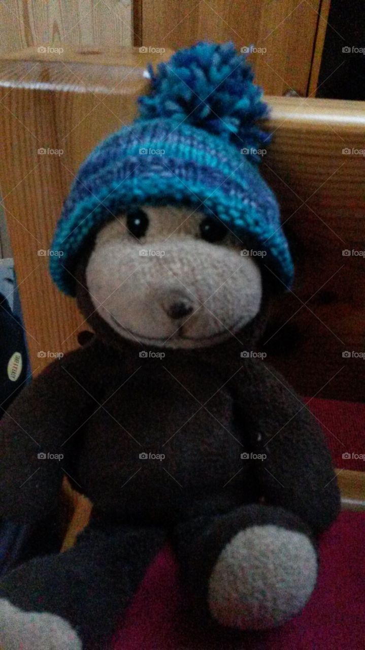 The name of this Monkey is None...😃