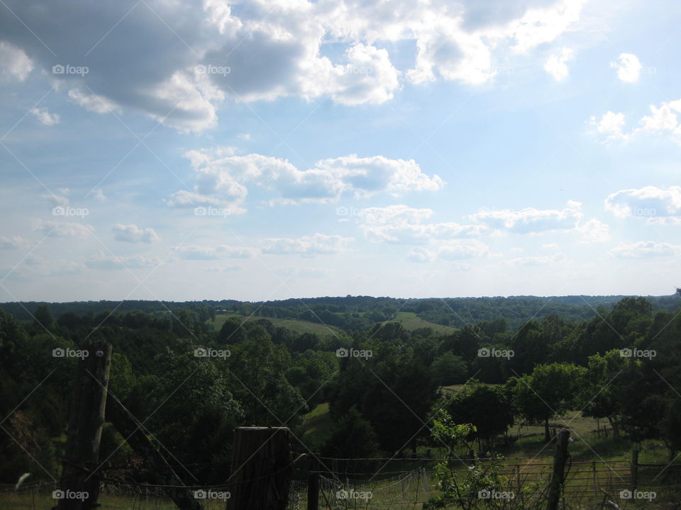 Rural Kentucky horizon.